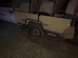 Stuck in the mud