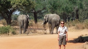 Nanna at work with the elephants