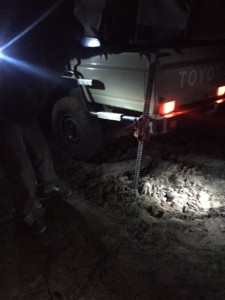 Bogged in the dark